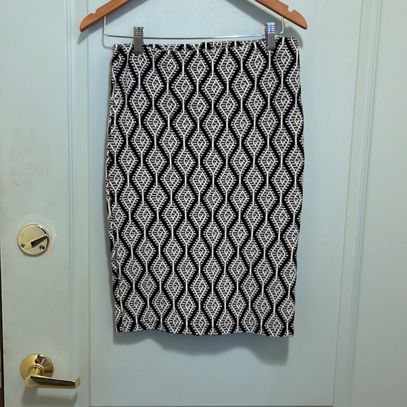 Zara Dresses & Skirts - Zara Trafaluc Skirt